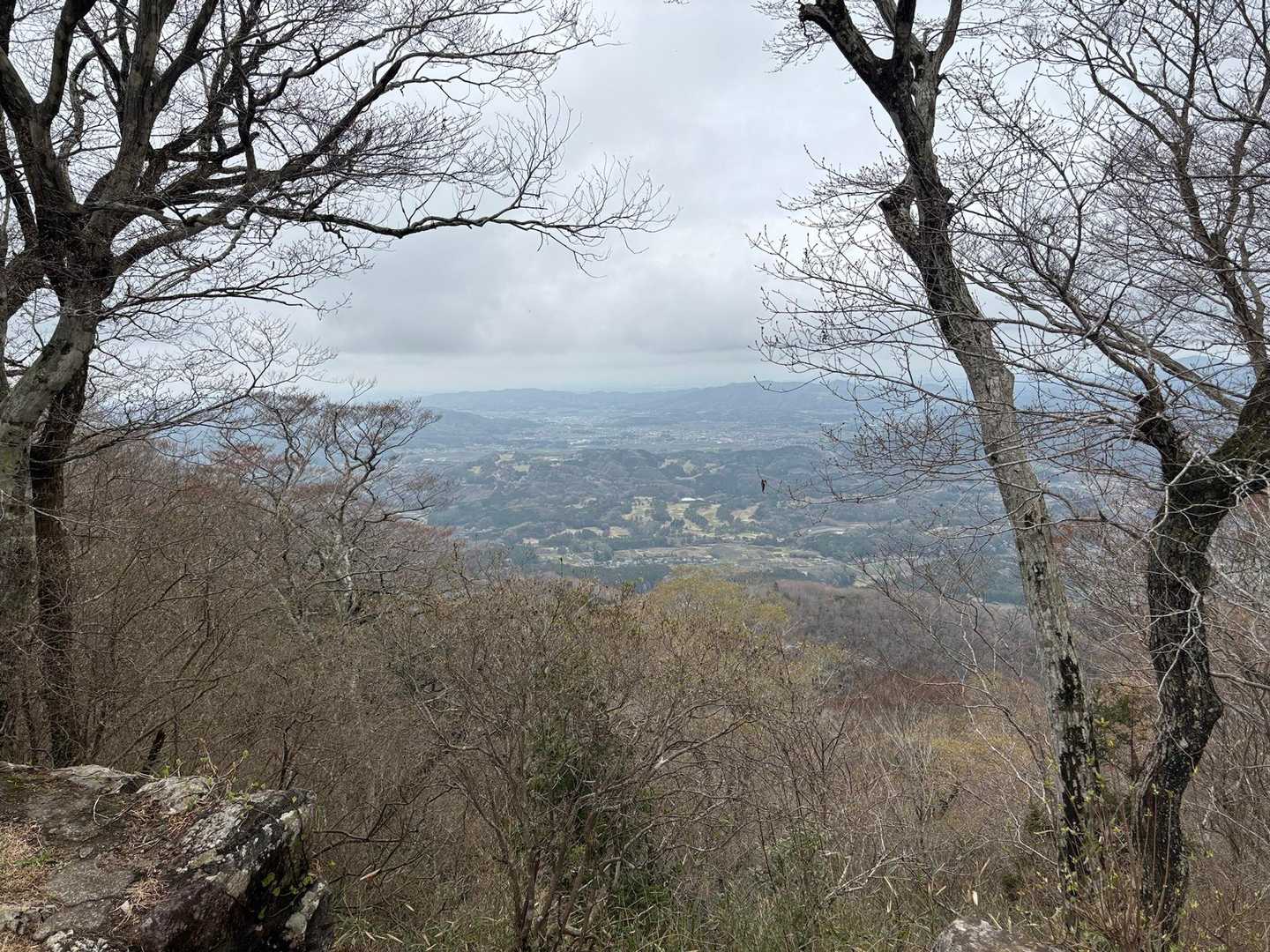山頂からの景色