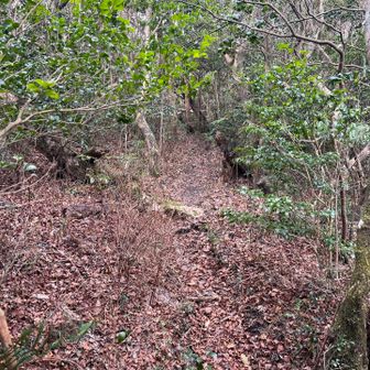 ひたすらトンネル