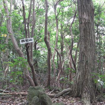 途中の四石山（195m）
