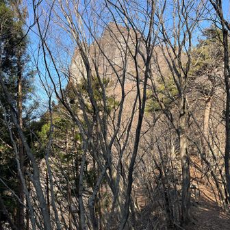 聳え立つ獅子岩🦁