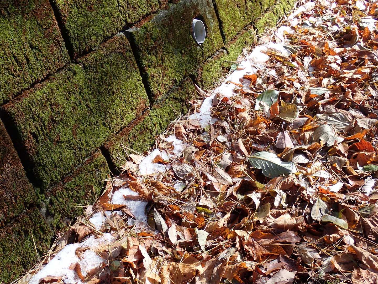 
ここでも雪が降ったんですね❄️
寒いハズ😅