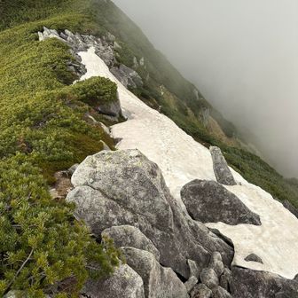 登山道にまだ少しの残雪ツボで歩けます