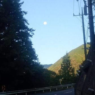 🌕有間ダム迄は車道を歩きます