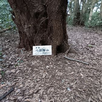 内藤陣山　山頂　土塁陣跡