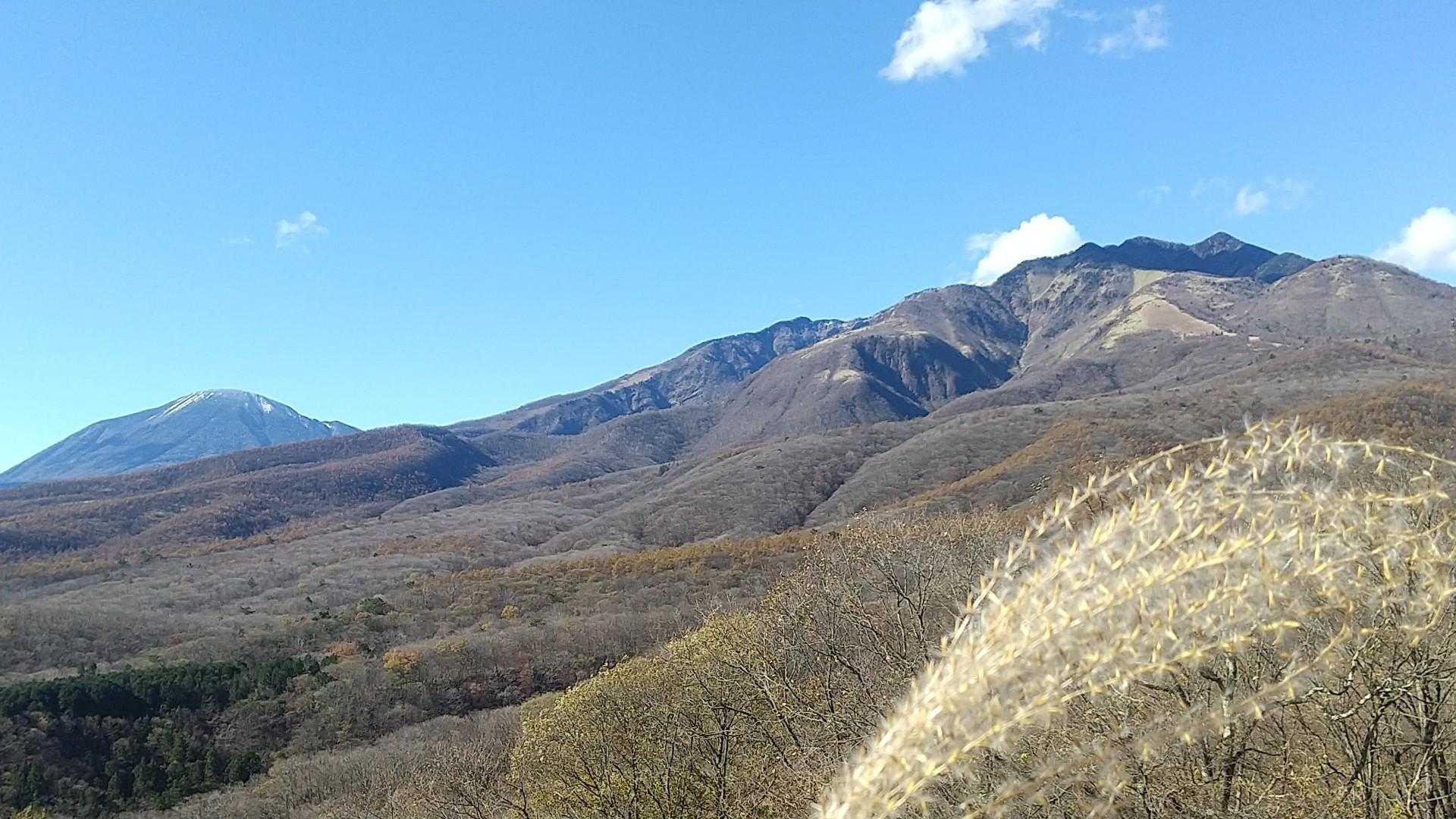 秋はすすきが好きだ
静かにただ漂う
そんな生き方もある