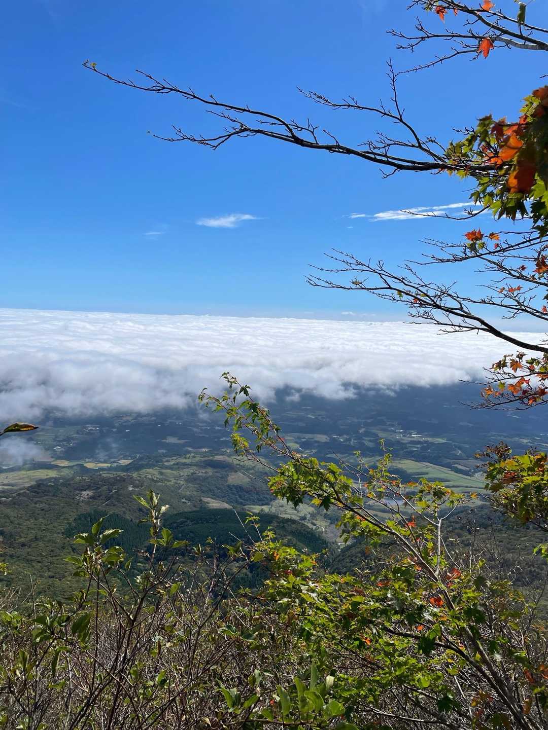 大船山 周回コースの写真