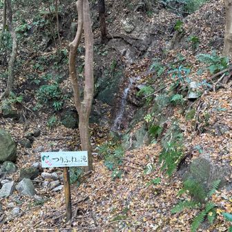 すぐに小さな滝が