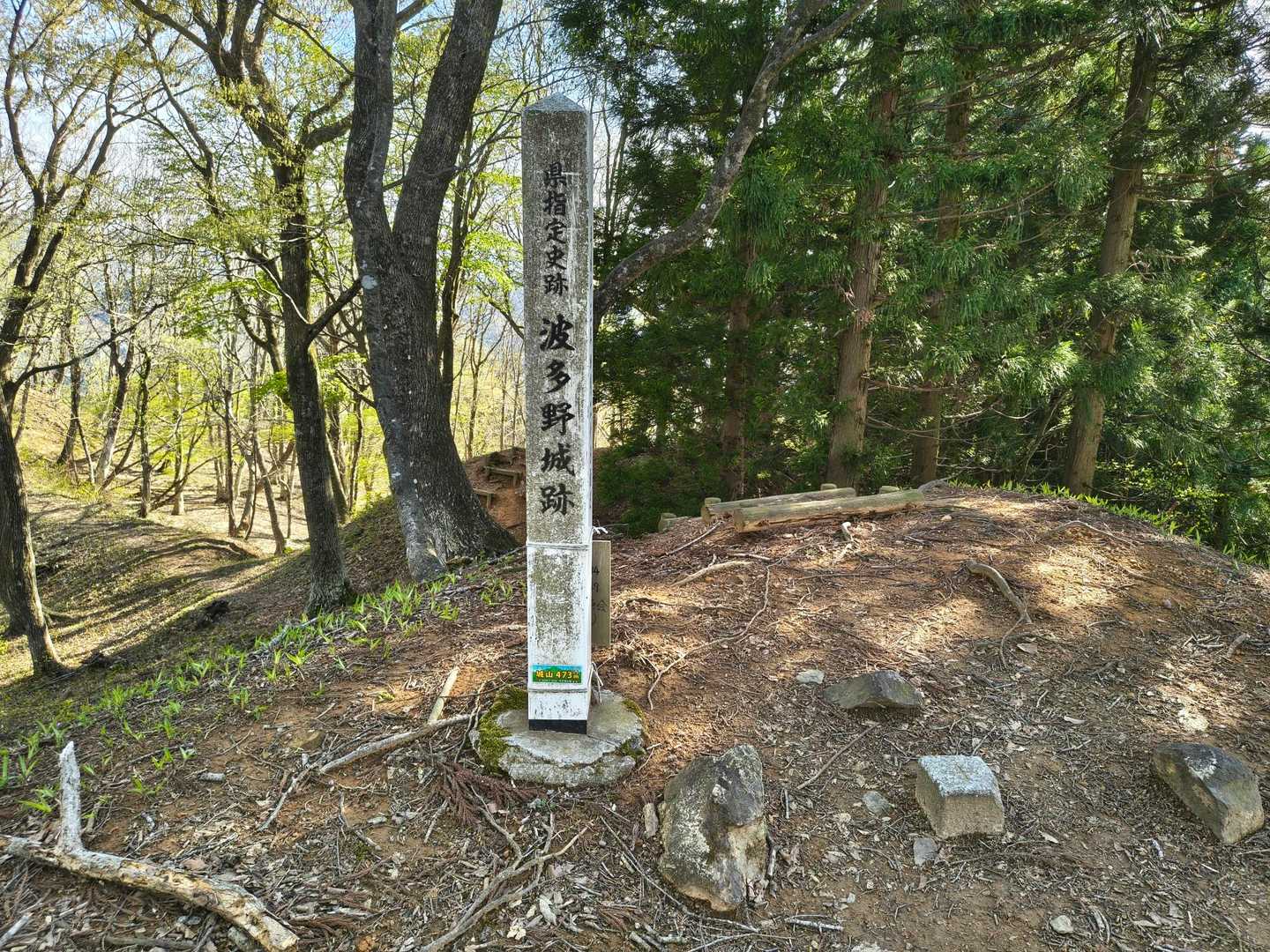 城山 往復コースの写真