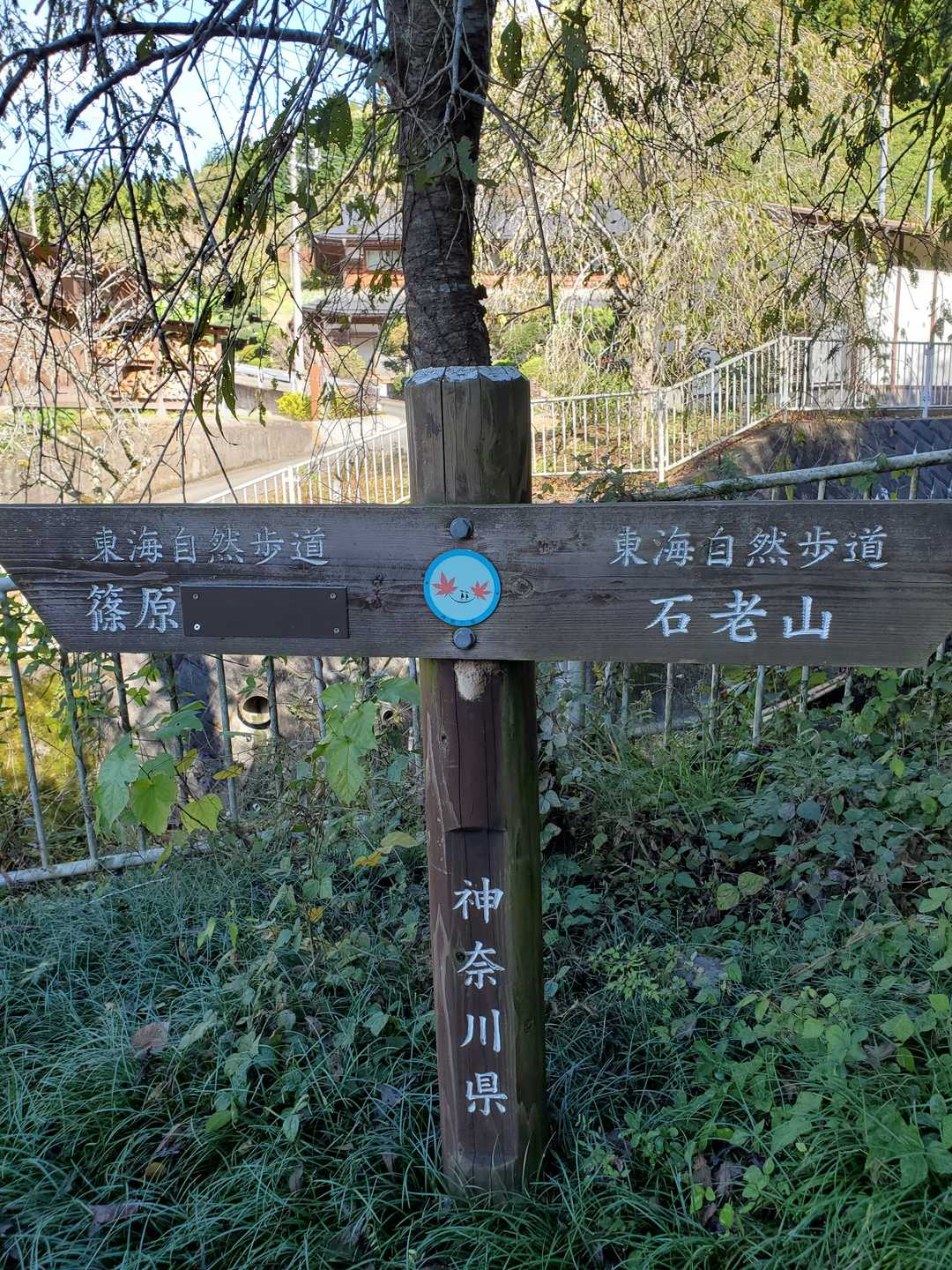 石老山 往復コースの写真