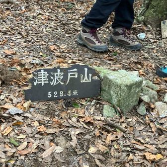 着きました。山頂

因みに｢つわと｣って読みます