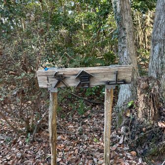 到着！

気持ち良いトレイルでした。