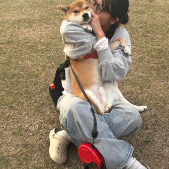 ぽん