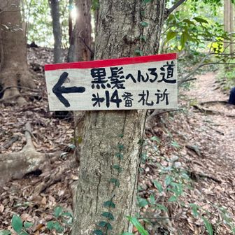 遍路道も出てくる