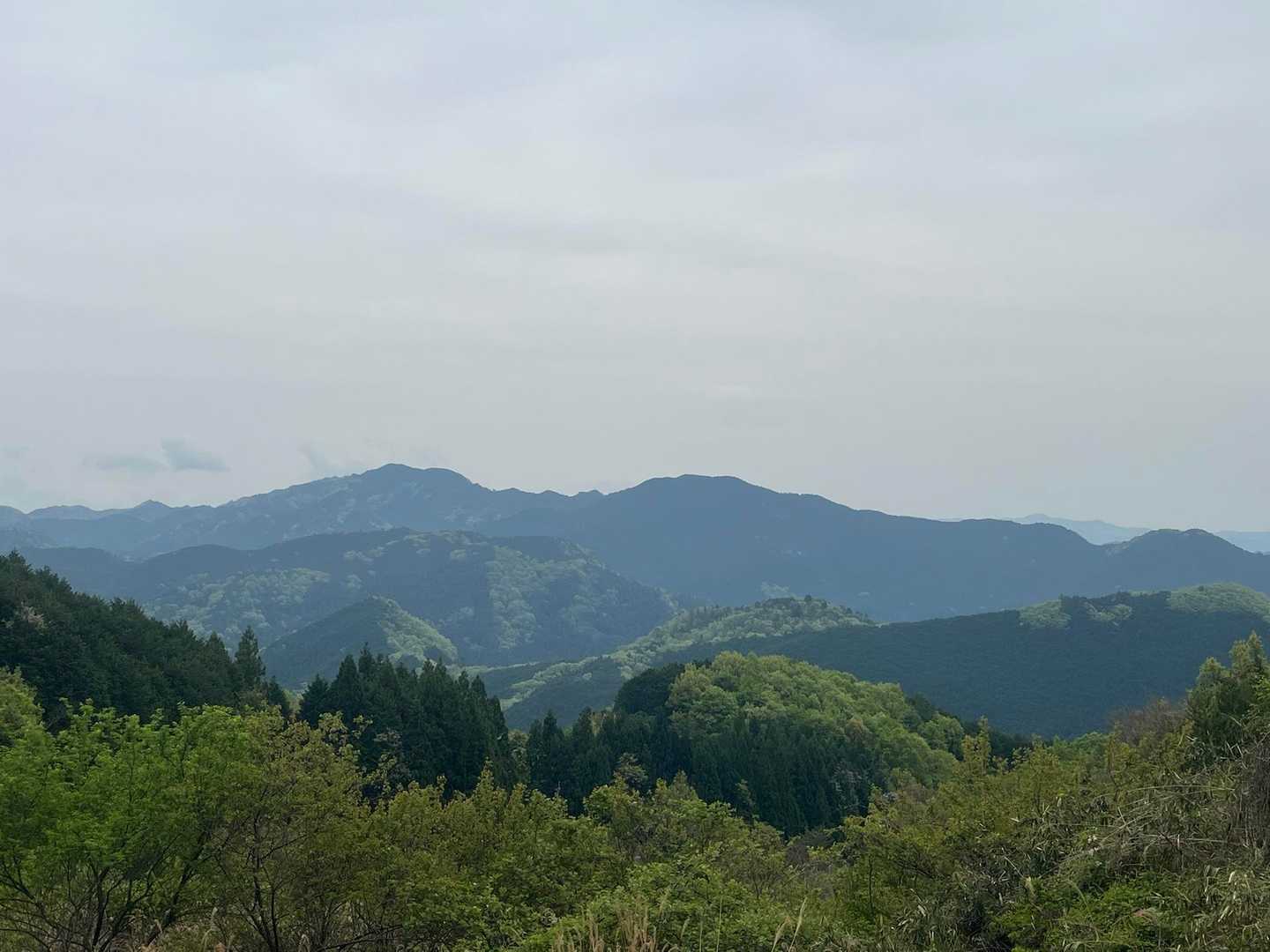 景色を楽しみながらアスファルトの道を歩いていく。