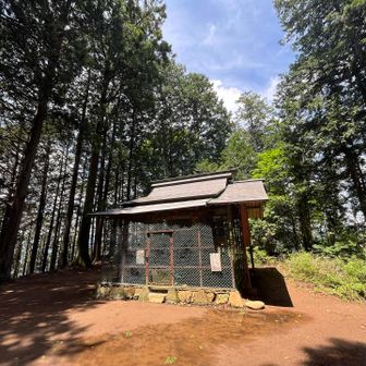 登りきり
社がある広場に