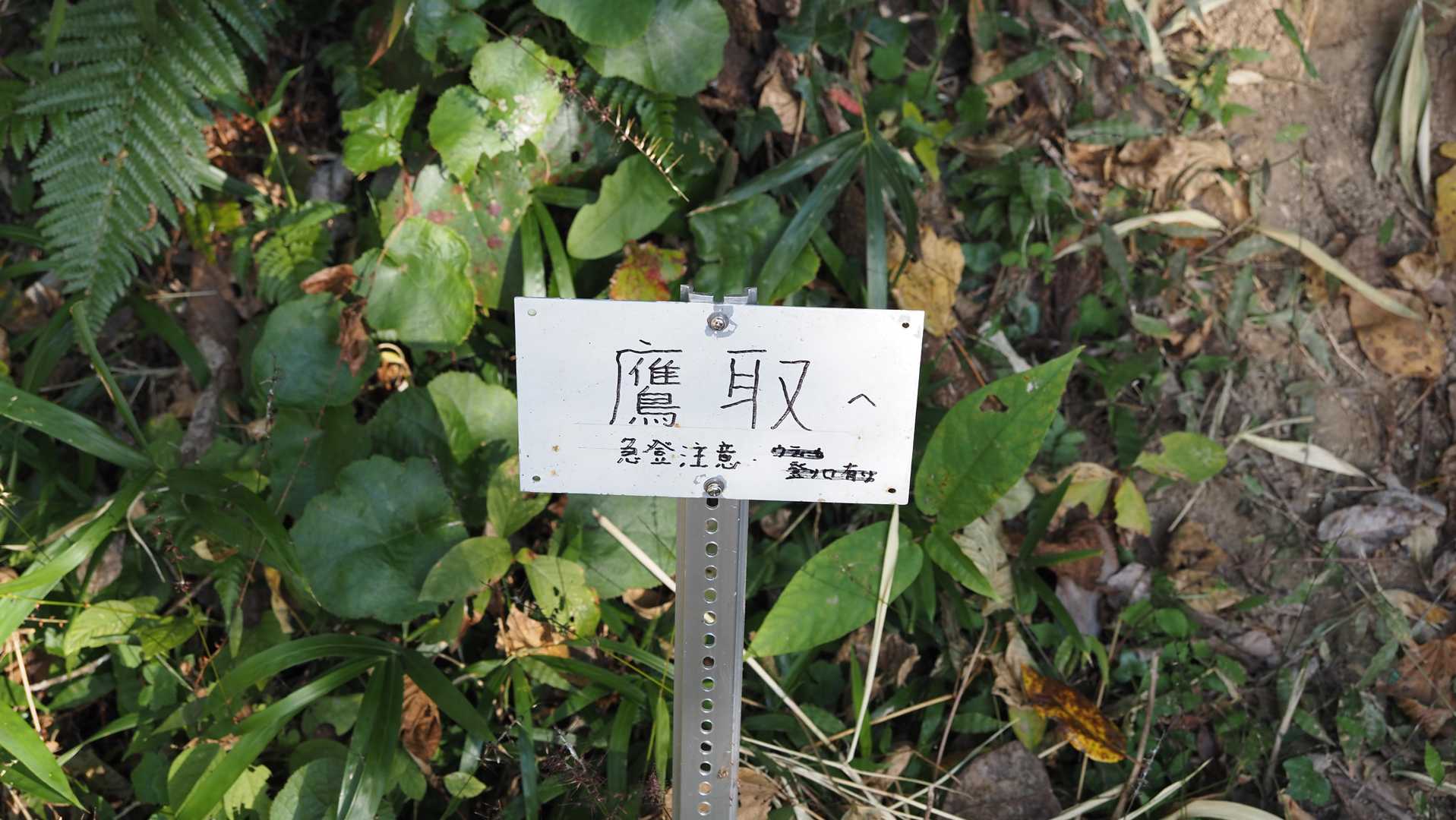 何故かワクワク😙