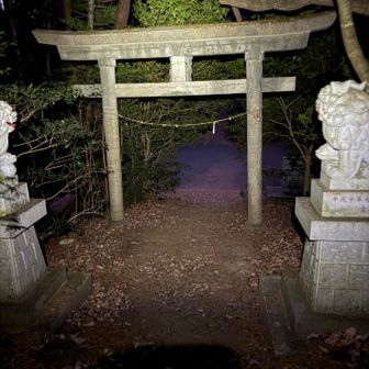 愛宕神社の鳥居と狛犬