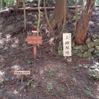 2つ目の三瀬峠は一番暑い時間に