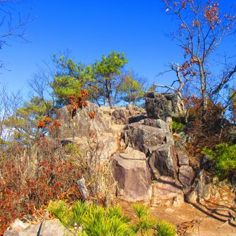 太郎坊山山頂