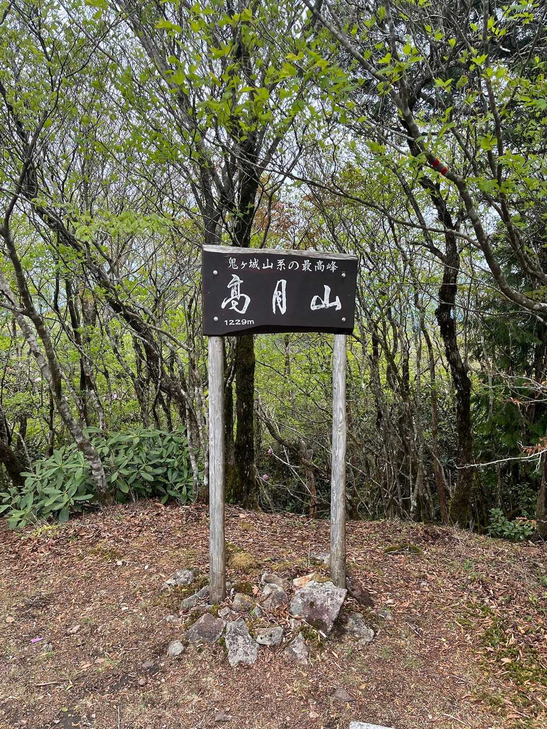 鹿のコル登山口-毛山-梅ヶ成峠-高月山 周回コースの写真
