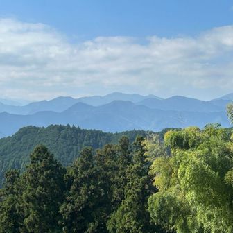 伊豆ヶ岳と武甲山が見える⛰️⛰️
獲得標高⤴︎久しぶりの1000㍍越え

滝💦苔アート🎨山菜蕎麦🍜
紅葉はまだでしたが🍂静かな山歩きで連休終了です🇯🇵🇯🇵🇯🇵