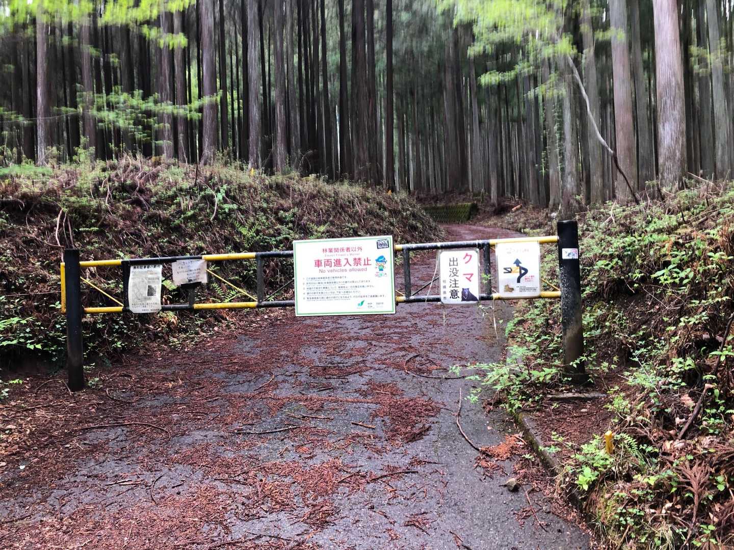 釜立林道（青根）-姫次-蛭ヶ岳 往復コースの写真