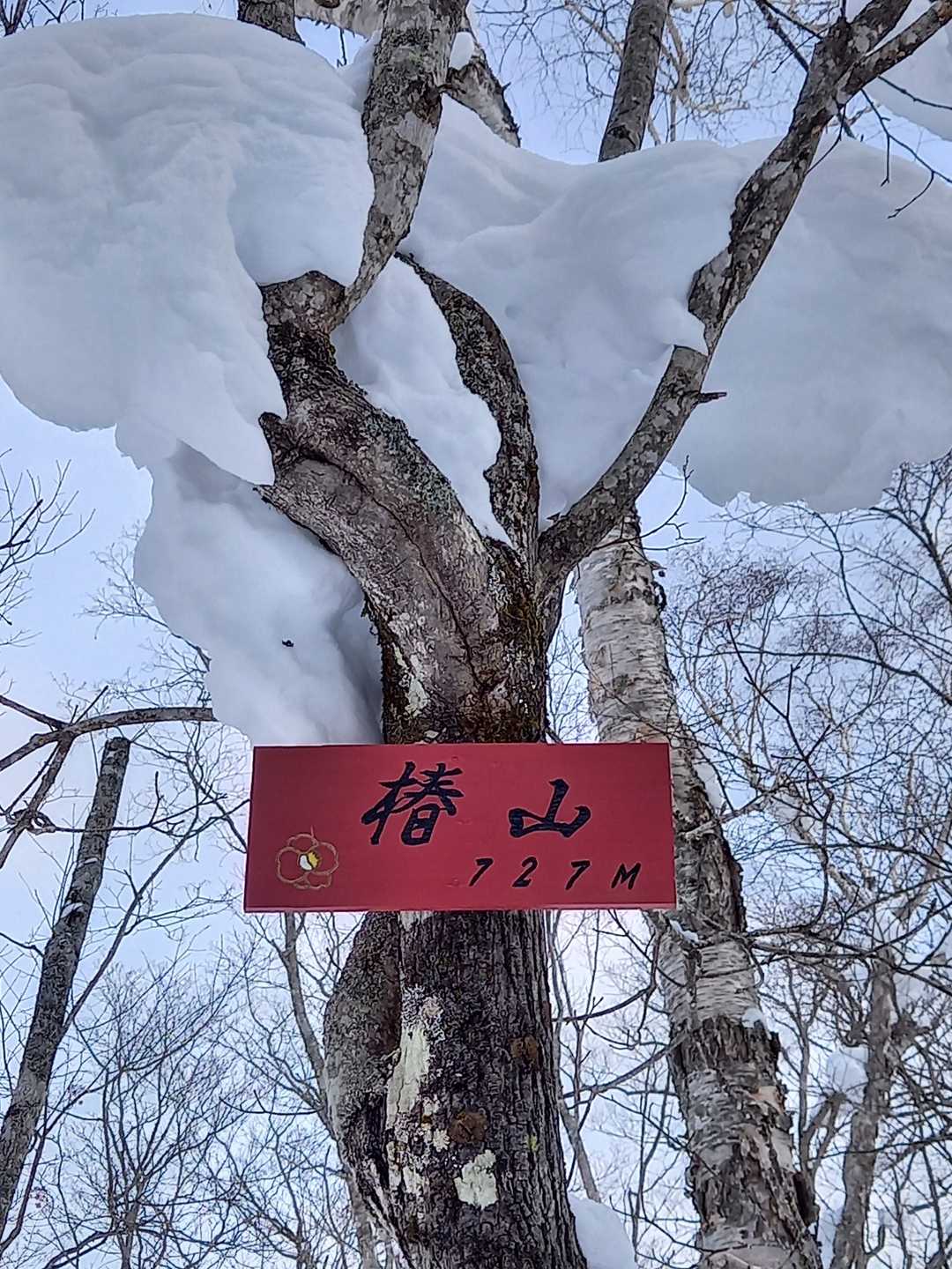 白銀に咲く一輪の花🌸の様