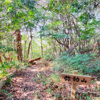 違うルートから嵩山へ登り返します😆
ここでまた弥勒山💦