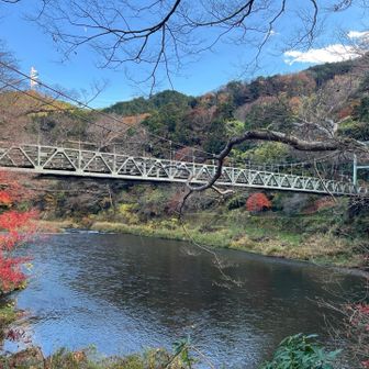 渓谷歩きの終点楓橋🍁