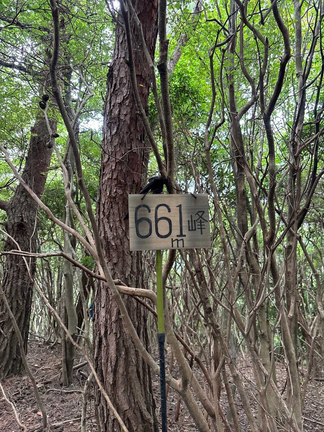 そんなこんなで次の山頂