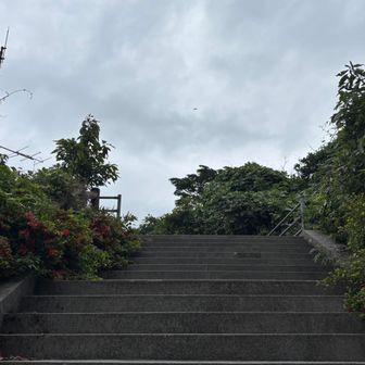 上がってみる
