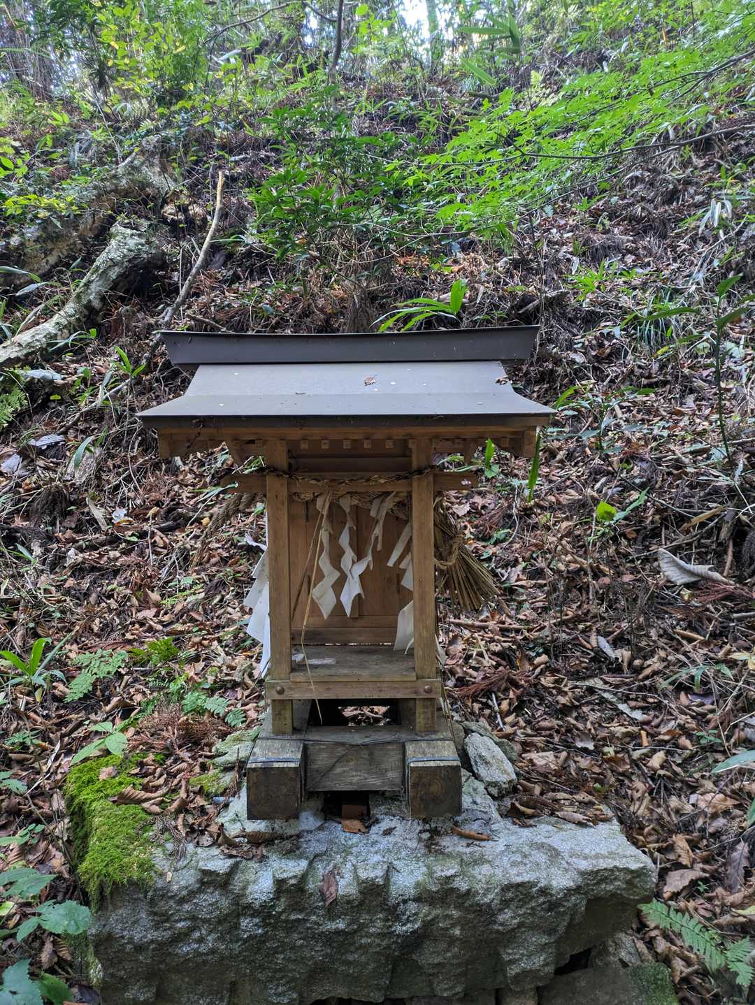 祠がありました。弁財天様が祀られているようですね。