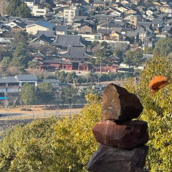 平等院鳳凰堂🐦‍🔥10円玉のヤツやん🧐