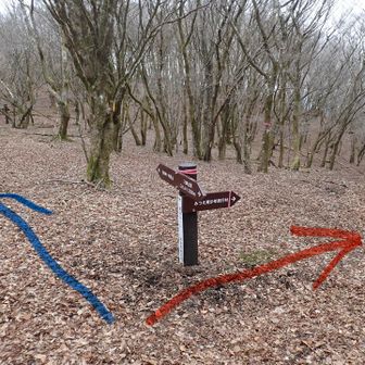 新道峠
右🟥に降ります
直進🟦の稜線は高見山まで続いています
