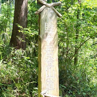 登山口