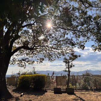 ずっと居たいような感覚✨