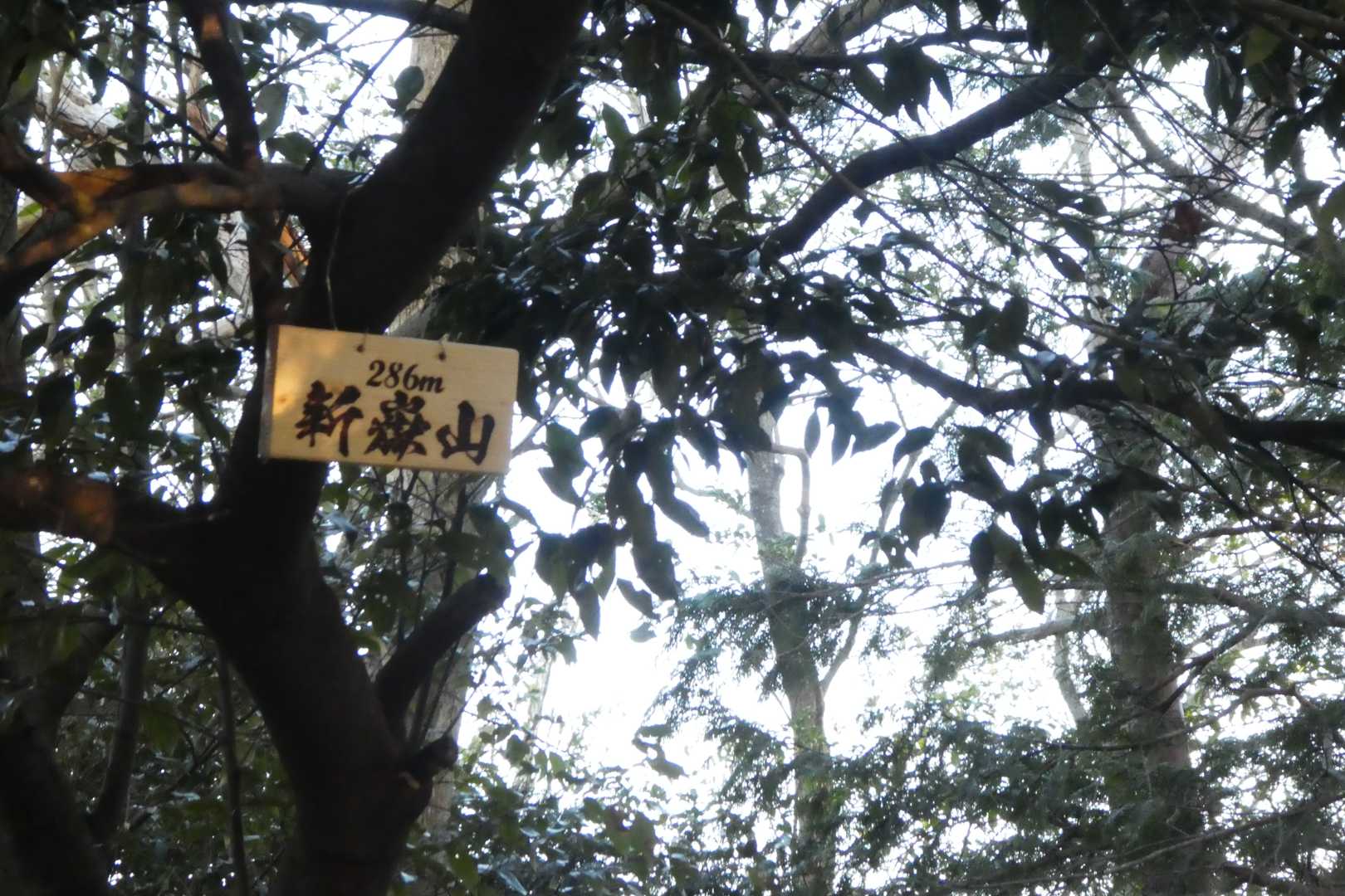 新しい山頂標識を設置