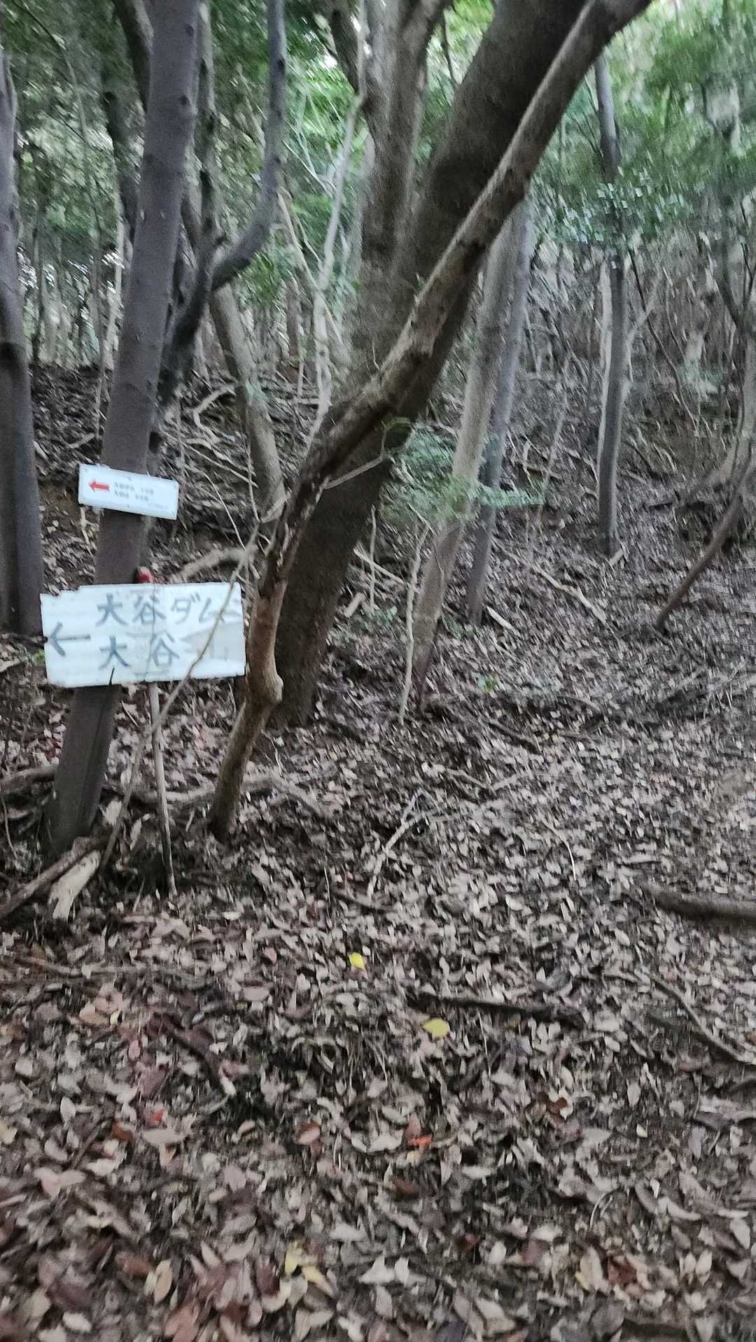 第一心折れ坂🥵