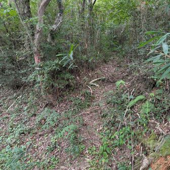 道路から山頂への取り付きがココ👆
ピンクテープが無かったら気付きもしないかな？