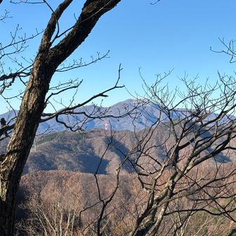 尾根に出ると、袈裟丸山が見えてきました✨