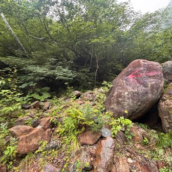 ここで靴を履き替えて沢靴はデポ