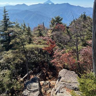 おお、前飛龍より少し降りたところ。ナイスビュー