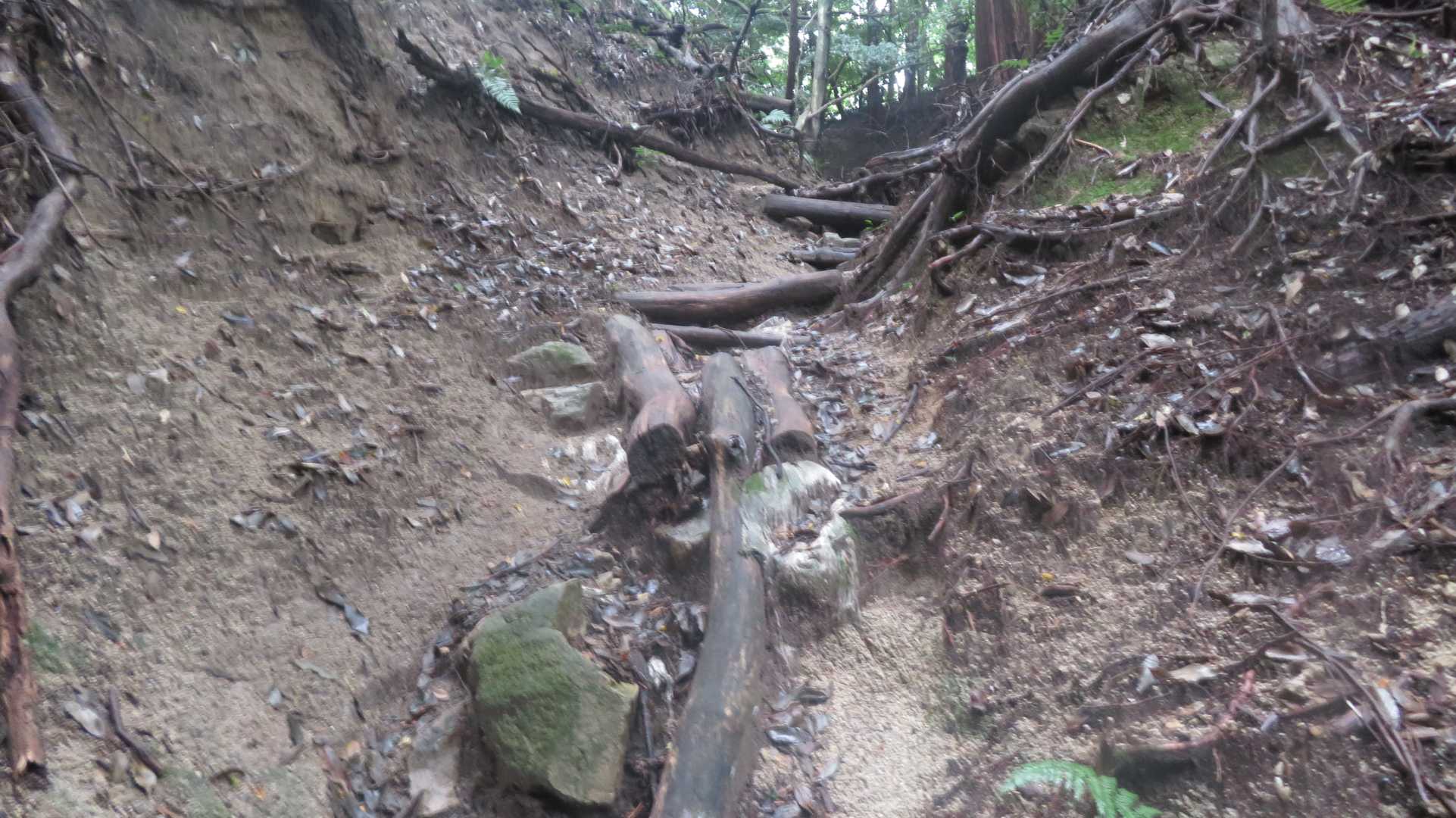 ここから登山道