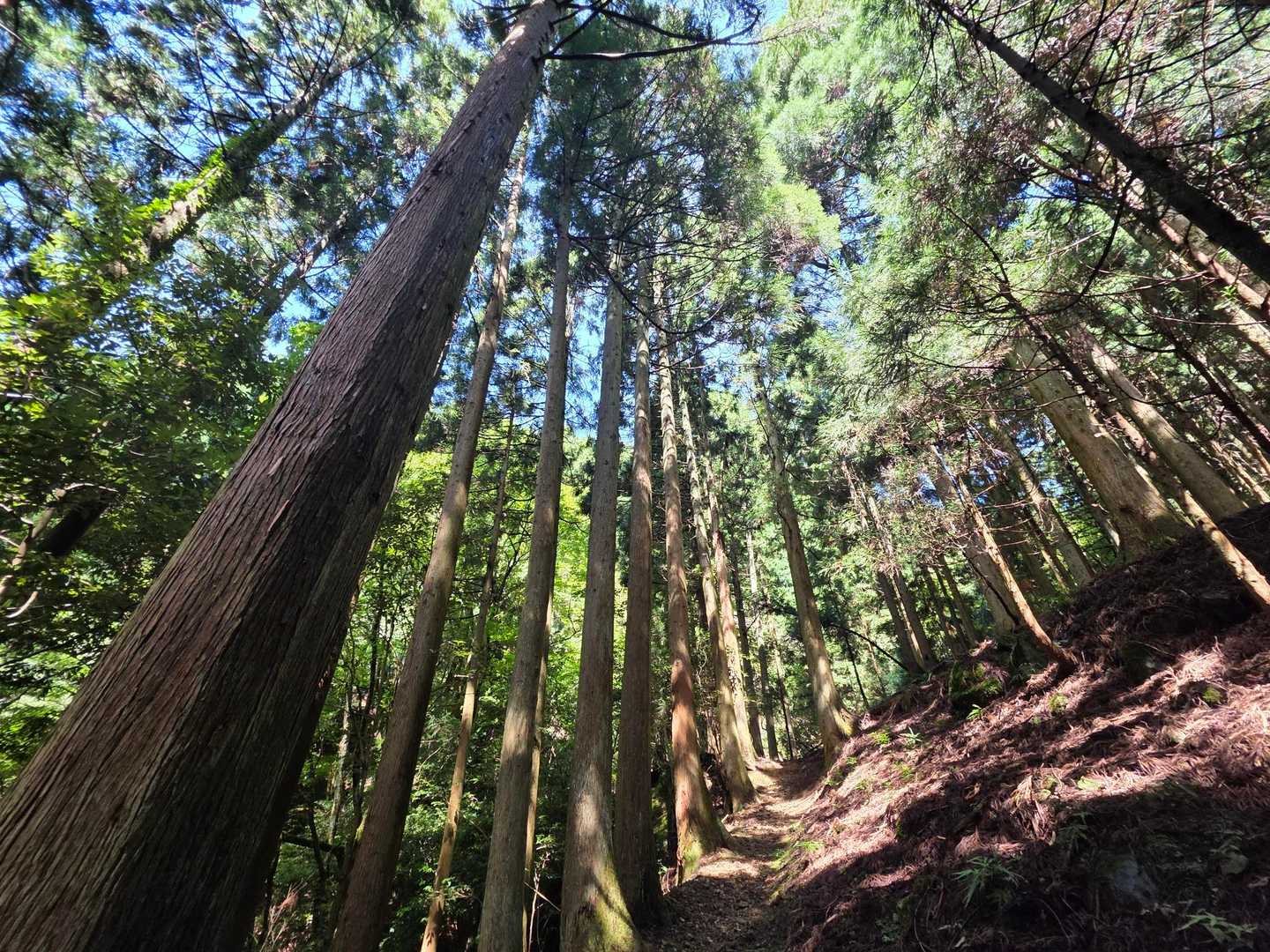 💚