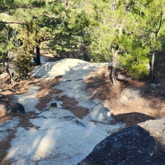 八王子山から千代田湖への途中