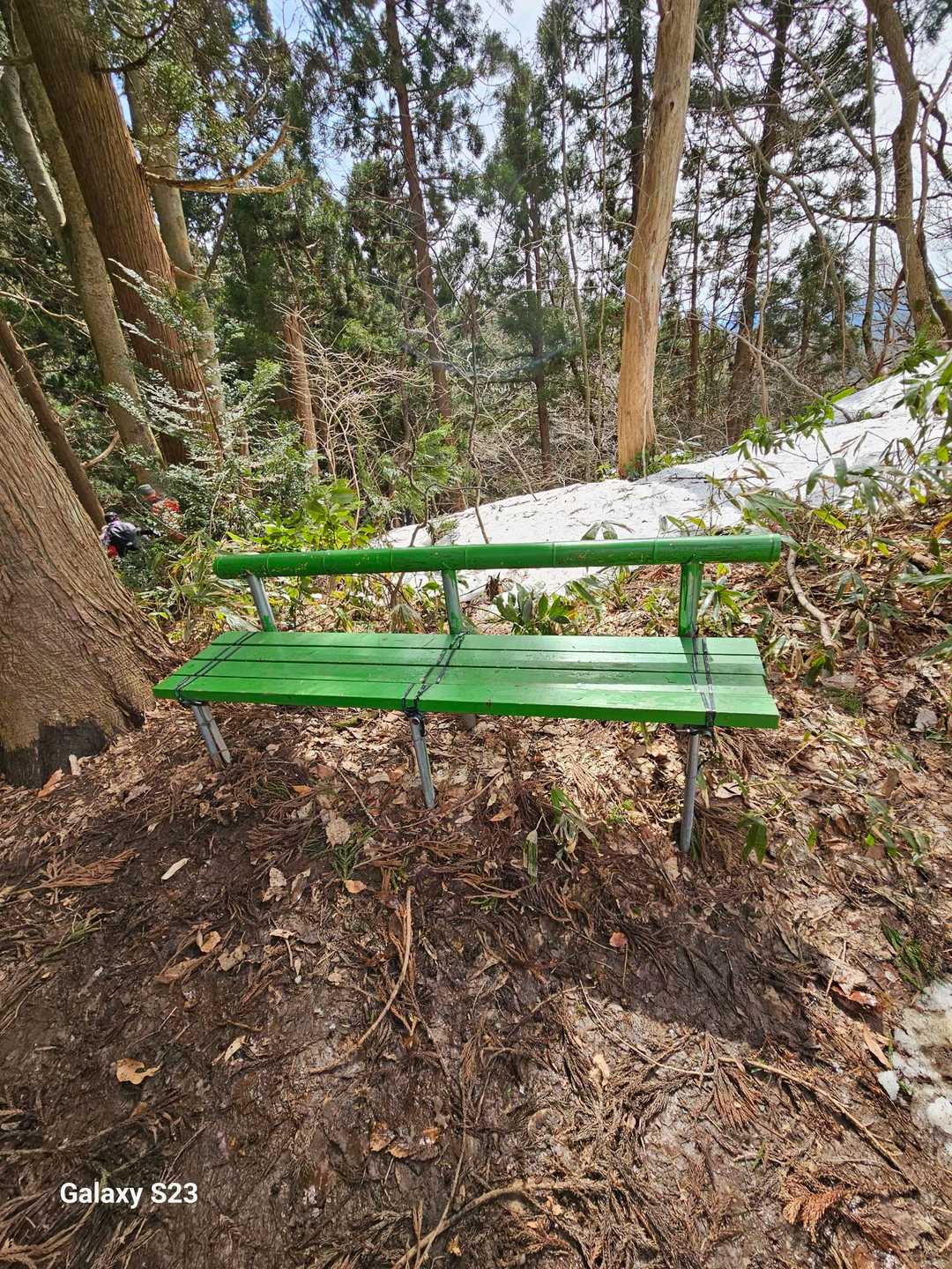 ここにもウヅラベンチ