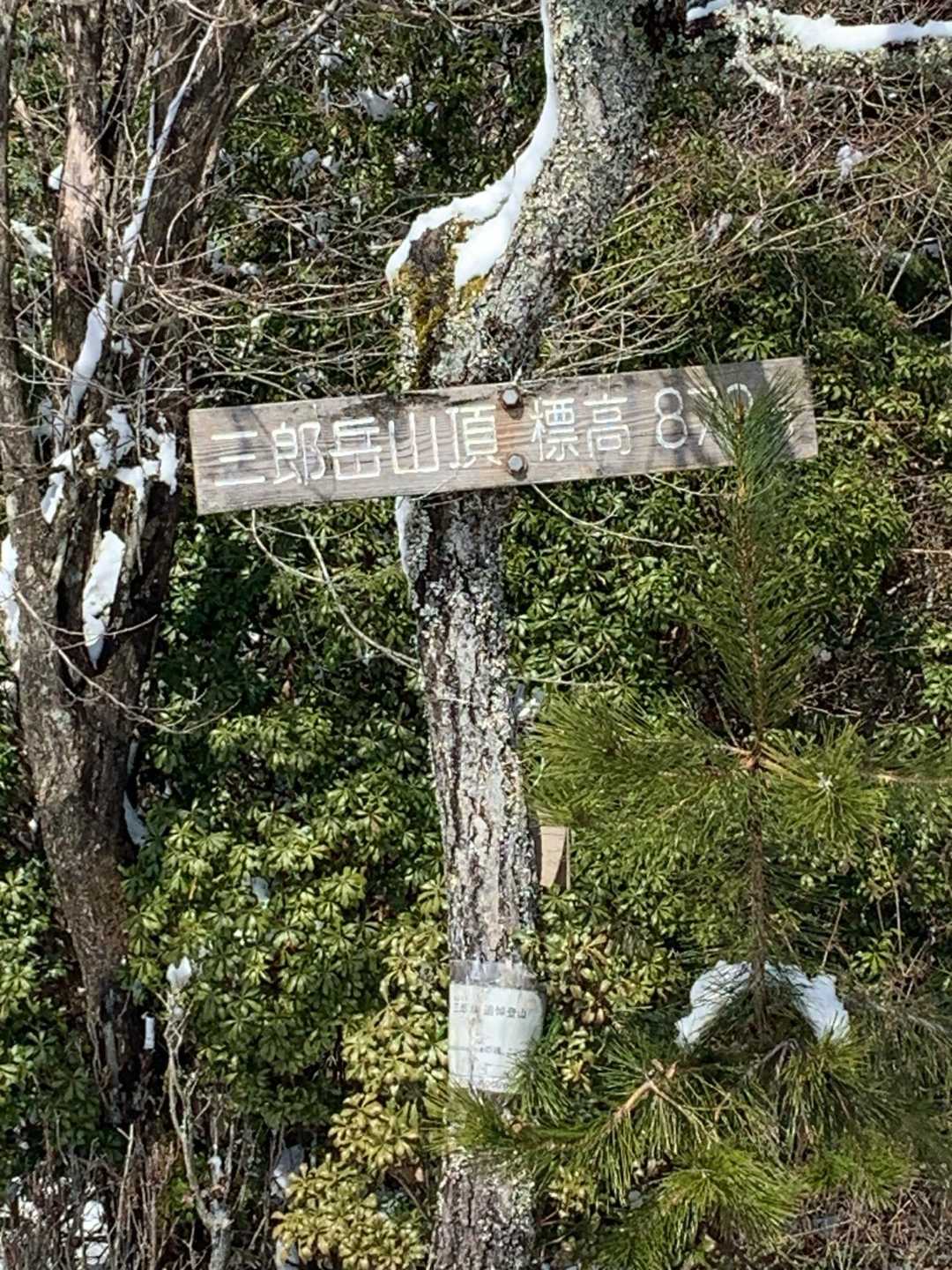 高城岳-三郎岳 周回コースの写真
