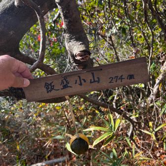 おそらく私のYAMAP600座目😇