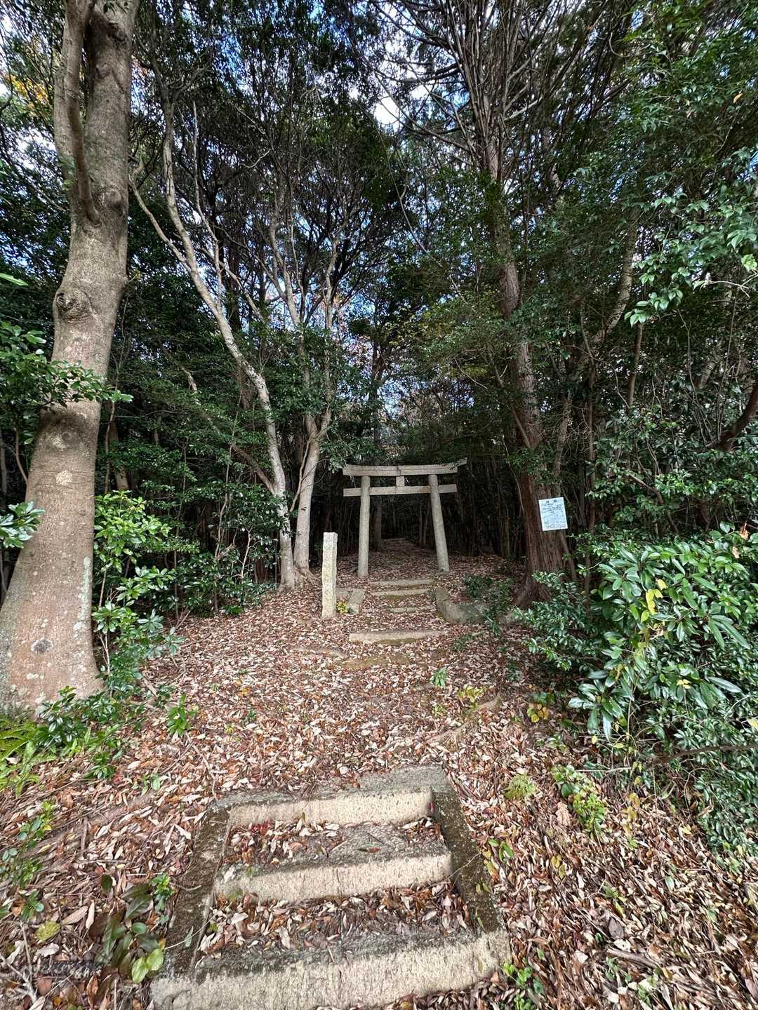 下山しました⛩️