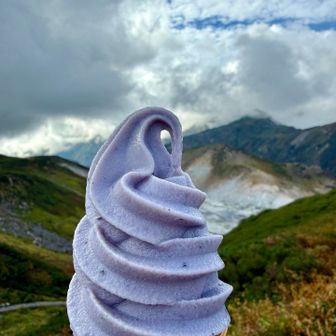 ♨️→🍦(ブルーベリー🫐)✨😋